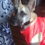 Bethany Wilcox - Facebook