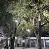 Beto Muñoz - @beto_munoz - TikTok