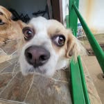 betsaida martinez - @betsa.martinez__11 - Instagram