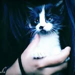 betsaida  sanchez - @betsaidasanch - Instagram