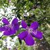 Betsy Abraham - Facebook