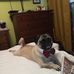 Betty Ackerman - Facebook