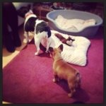 Betsy And Albert - @betsyandalbert - Instagram