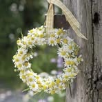 Betsy Alexander - Facebook