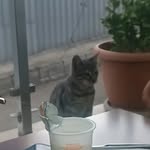 Beyza - @betsy_alien - Instagram