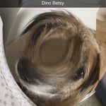 Betsy allen - @besty_allen - Instagram