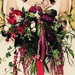 Betsy Allen - @therosybouquet - Instagram