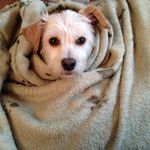 Betsy Allen - @tallulahindetroit - Instagram