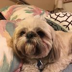 Betsy Baer - @betsybaer - Instagram