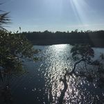 Betsy Baer - @baerbetsy - Instagram