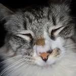 Betsy Woodruff Bauer - @bauerbetsy - Instagram