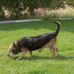 Betsy Beatty - Facebook