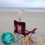 Betsy Beck Murphy - @ramblinrose1938 - Instagram