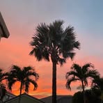 Betsy Berry - Facebook