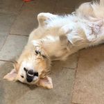 Betsy Berry - @betsy_berry1 - Instagram