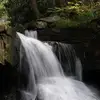 betsycantleberry - @betsycantleberry - TikTok