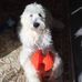 Betsy Bowles - Facebook