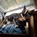 Betsy Bowles - Facebook