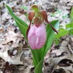 Betsy Bowles - @bkbow8 - Instagram