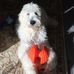Betsy Bowles - Facebook