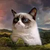 Boyce Betsy - @boyce.betsy - TikTok