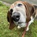 Betsy McDaniel Boyer - Facebook