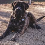 Betsy Braddock - @betsy.braddock.31 - Instagram