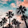 Betsy Bradley157 - @betsybradley1 - TikTok