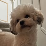 Betsy Bradley - @beebee_gb - Instagram