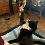 Betsy Bradley - Facebook