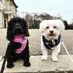 Brady and Betsy - @itsbradyandbetsy - Instagram