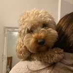 Betsy - @betsybraybrooke - Instagram