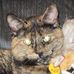 Betsy Brenner - Facebook