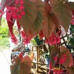 Betsy Bright - @betsy.bright.714 - Instagram