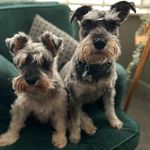 Betsy and Bruce Thor - @betsy_and_bruce - Instagram