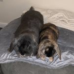 Bruce & Betsy - @brucebetsy_adventures - Instagram
