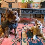 Bruce & Betsy - @bruce_n_betsy - Instagram