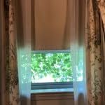 Betsy Bryan - @scenesfromawindow - Instagram