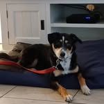 Betsy Buckley - @betsy_buckley_adventures - Instagram