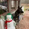 Betsy Buckner Maiorano - @betsy.buckner.mai - TikTok