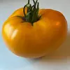 betsybuckholden - @betsybuckholden - TikTok