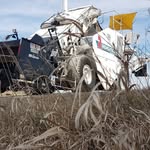 Betsy - @betsytheshuttlebuggy - Instagram