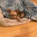 Betty Busch - Facebook