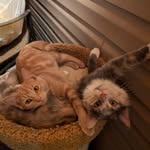 Betsy Cahill Rollins - @betsycahillrollins - Instagram