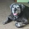 betsykeithcain - @betsykeithcain - TikTok