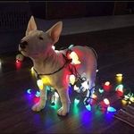 Betsy Calvert - @calvert.betsy - Instagram