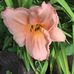 Betty Calvert - Facebook
