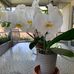 Betsy Carpenter - Facebook