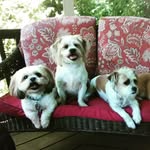 Betsy Allen Carter - @betsyallencarter - Instagram