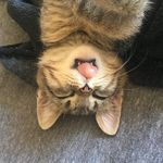 @betsy_carter - Instagram